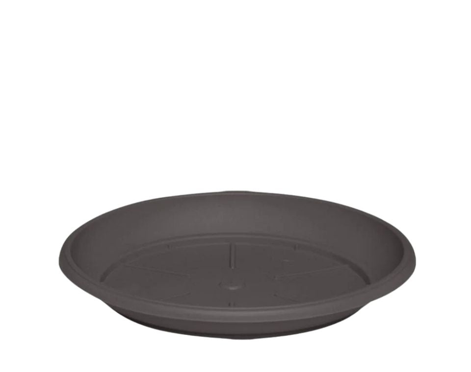 צלחת ערד | תחתית בקוטר 18 ס"מ | גובה 2.2 ס"מ | חאקי