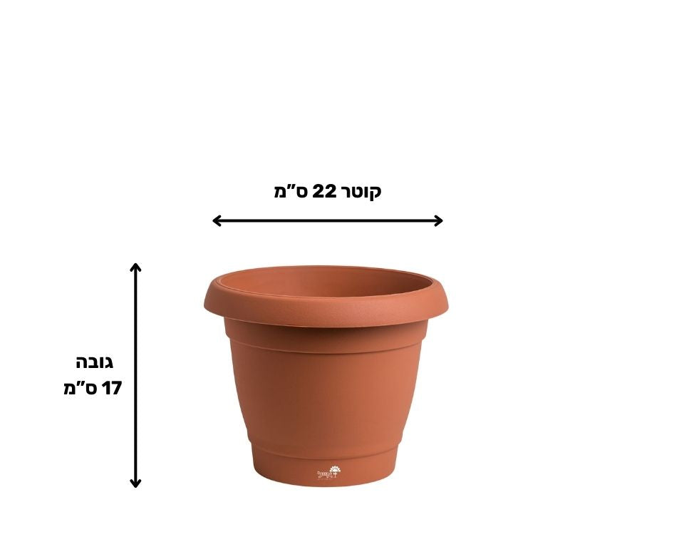 עציץ כרמל | טרקוטה | קוטר 22 ס"מ | 4 ליטר של Eyal – מבט מקרוב על הפרטים