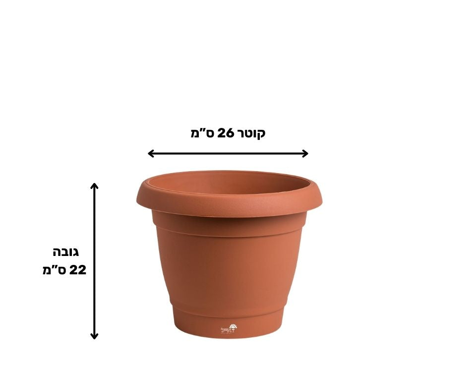 עציץ כרמל | טרקוטה | קוטר 26 ס"מ | 6 ליטר של Eyal – מבט מקרוב על הפרטים