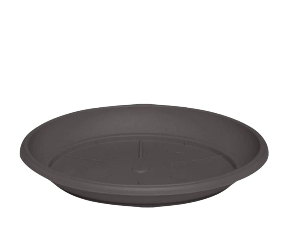 צלחת ערד | תחתית בקוטר 48 ס"מ | גובה 5.5 ס"מ | חאקי