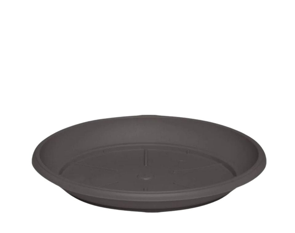 צלחת ערד | תחתית בקוטר 20 ס"מ | גובה 2.7 ס"מ | חאקי