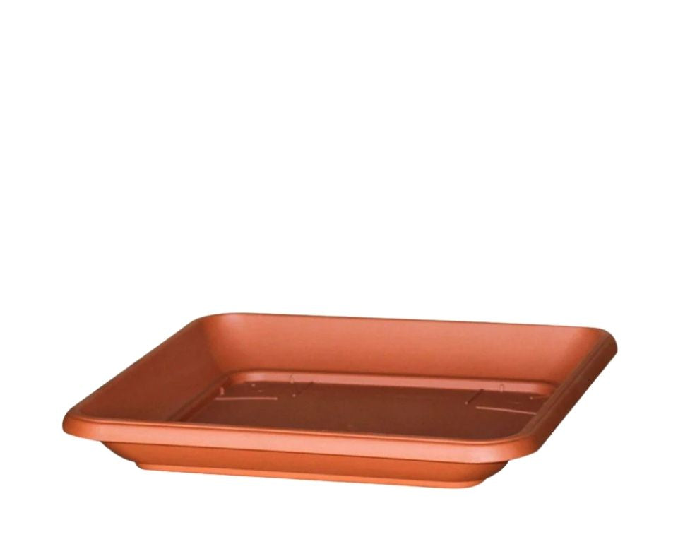 צלחת | תחתית מרובעת | טרקוטה | 46X46