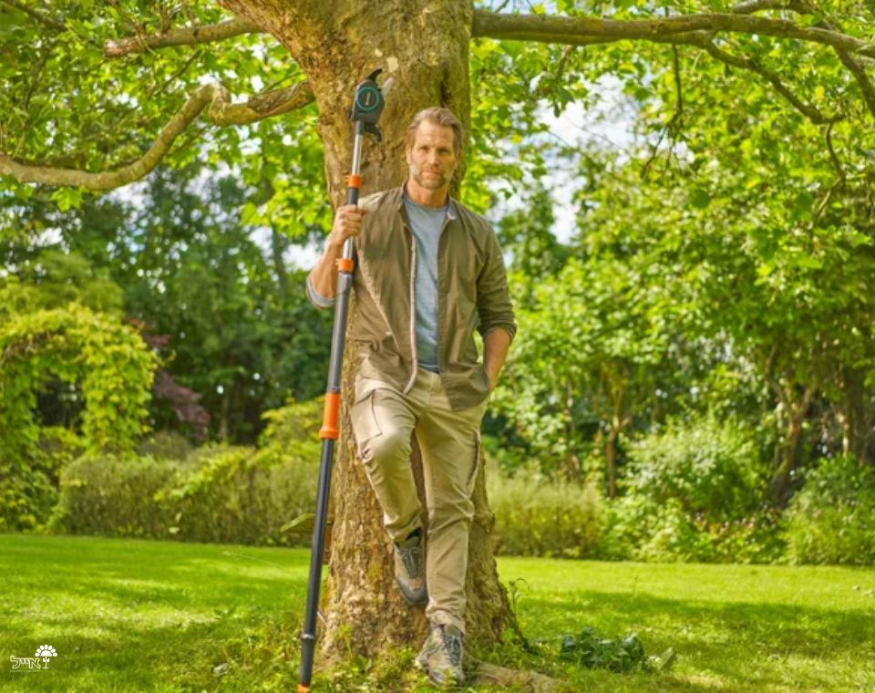 מזמרת גובה | גובה 175-650 ס"מ | StarCut Pro - משתלת אייל