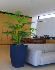 כד קוני רחב | 76 ס״מ | צמח דקל קנציה מלאכותי