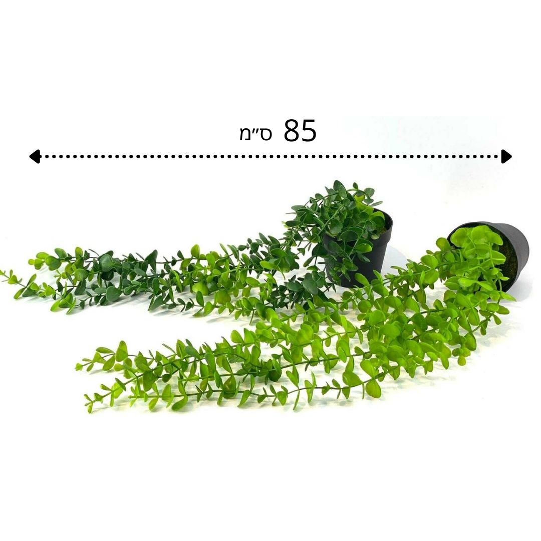 גולש ירוק מלאכותי קלאסי