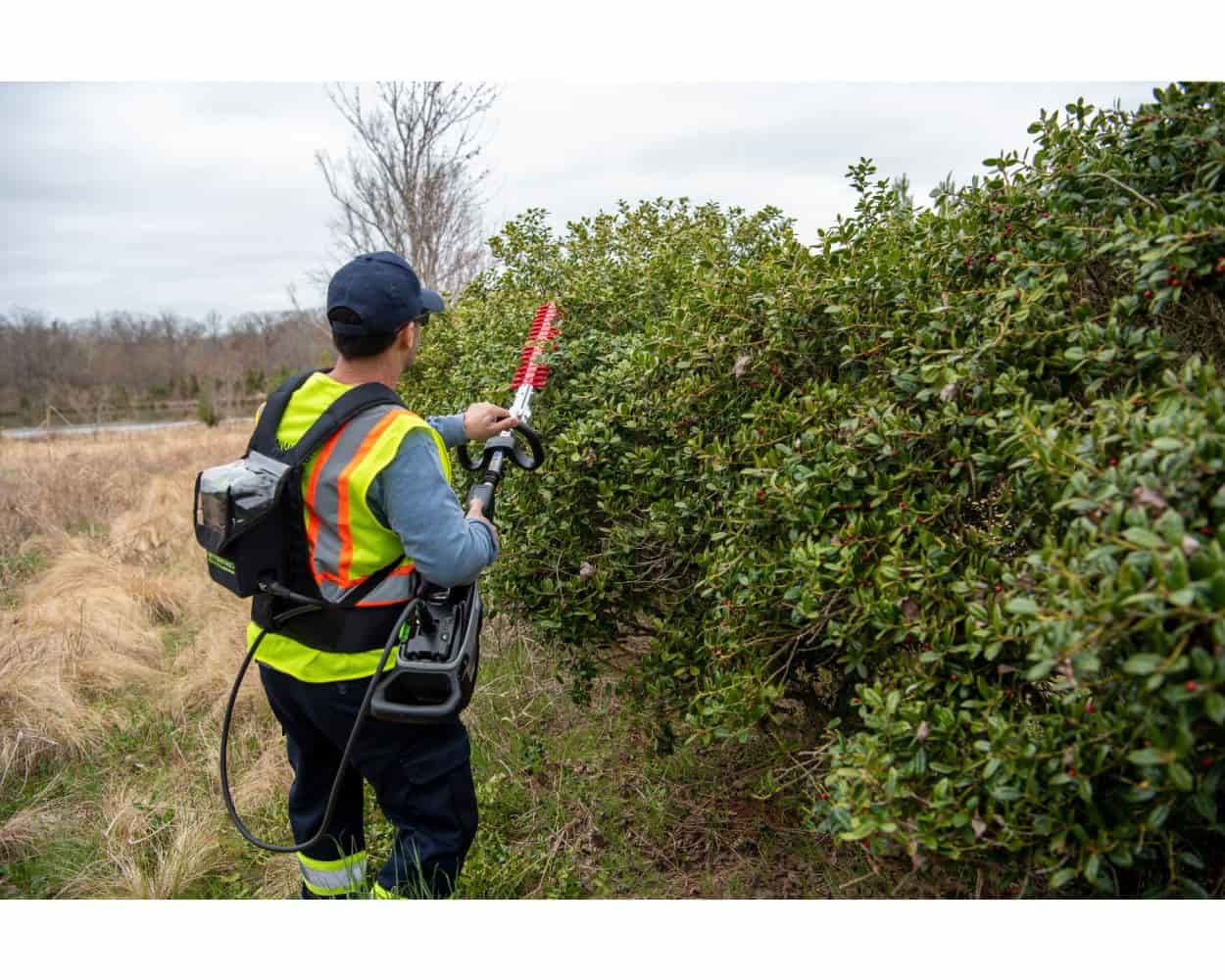 מגזמת גובה | 51 ס"מ | גוף בלבד | גרין וורקס
