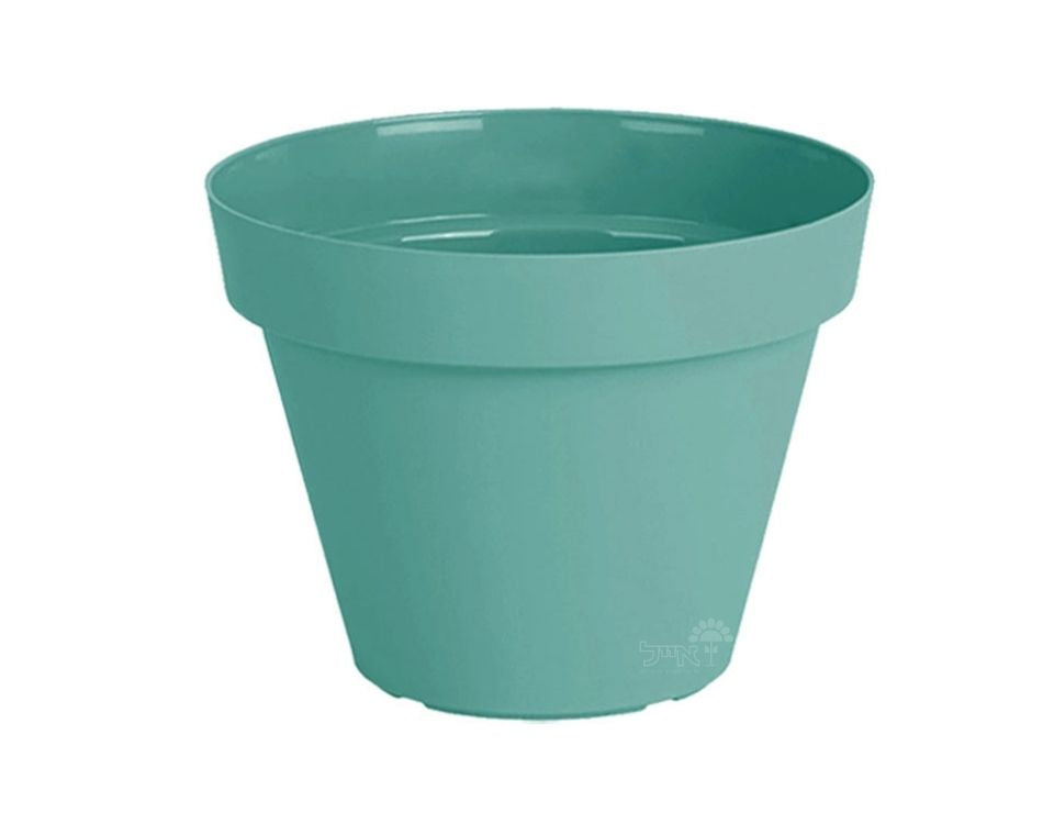 עציץ אביב | מנטה | קוטר 25 ס"מ