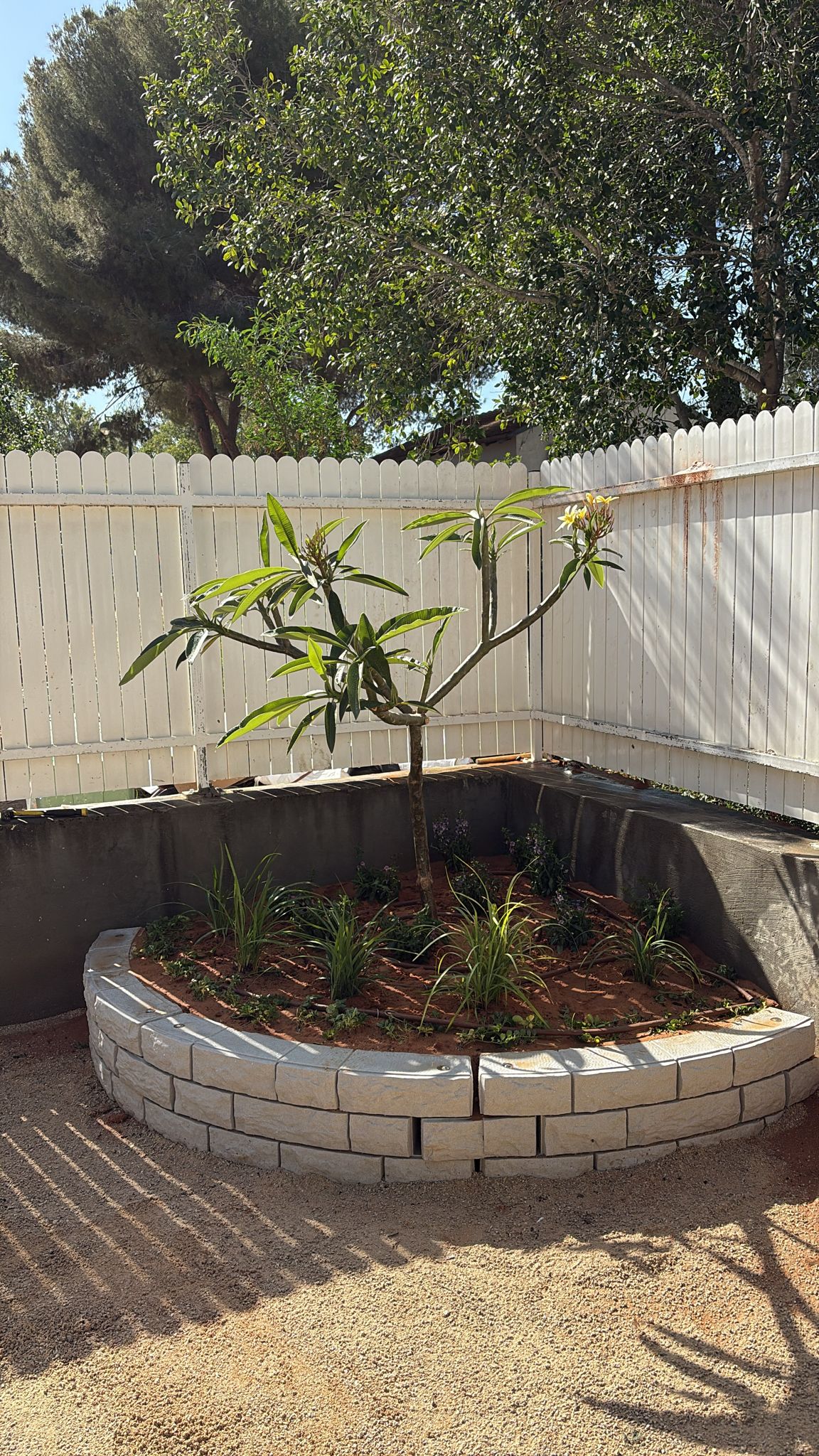 קשת גדולה | TERRACE-IT מערכת DIY מודולרית לעיצוב ותיחום | 159x33 ס״מ | פוליאתילן דמוי אבן