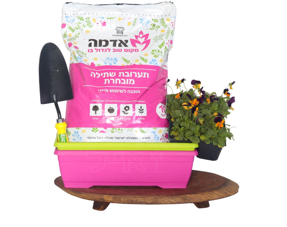 מארז שתילה לילדים | מכיל 6 שתילי פרחים, 2 אדניות, אדמה