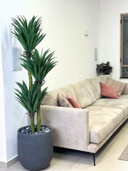 עץ מלאכותי יוקה | כס אגס בינוני | גובה 1.85 מטר