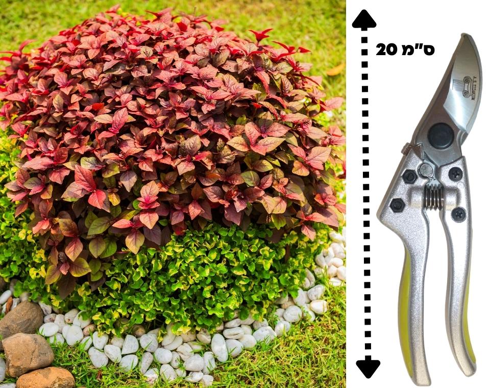 מזמרה ידנית | 20 ס"מ