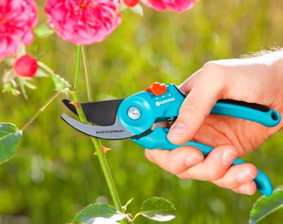 מזמרה ידנית מקצועית | דגם 8857 | GARDENA