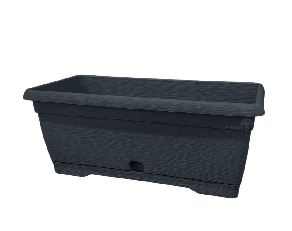 אדנית צבר | פחם | 60 ס״מ