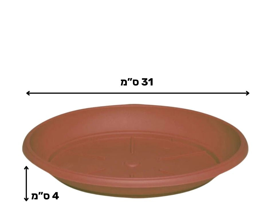 צלחת ערד | תחתית בקוטר 31 ס"מ | גובה 4 ס"מ | טרקוטה