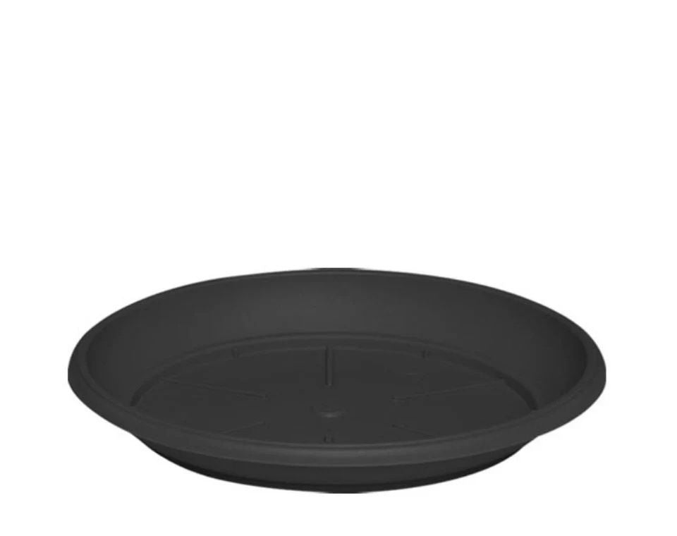 צלחת ערד | תחתית בקוטר 15 ס"מ | גובה 2.2 ס"מ | פחם