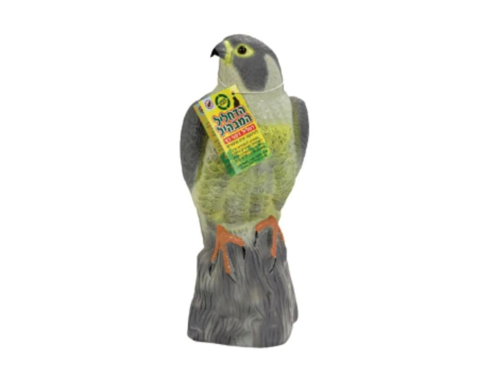 דחליל להרחקת יונים | נץ