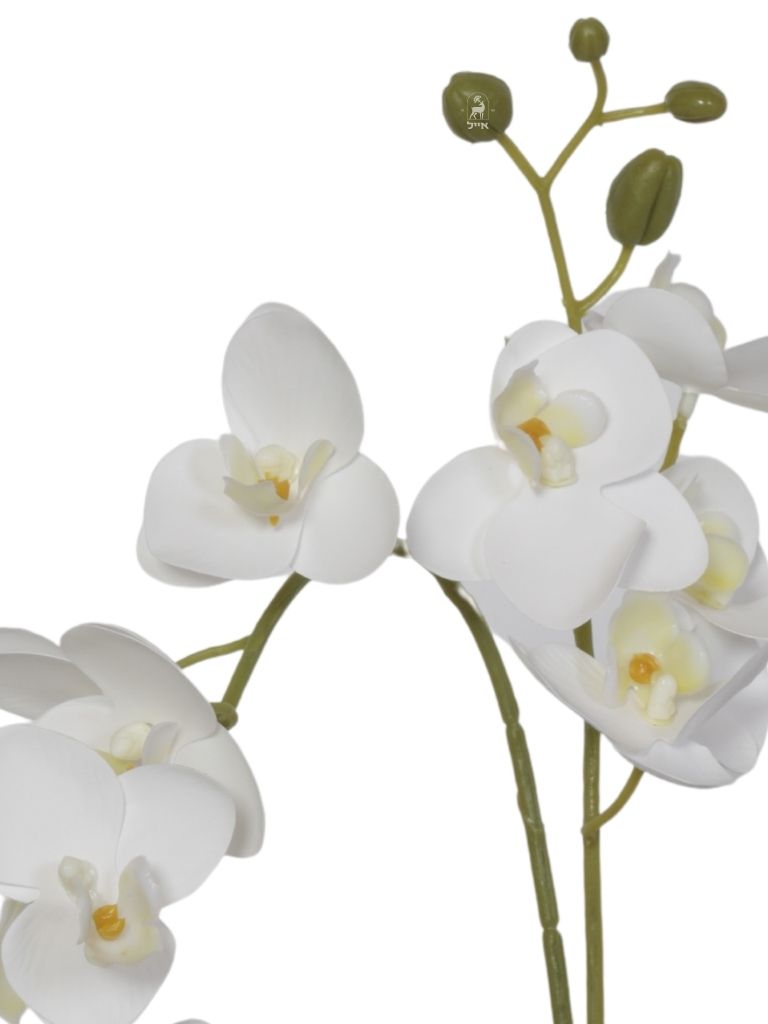 עץ סחלב מלאכותי | כולל כד זהב