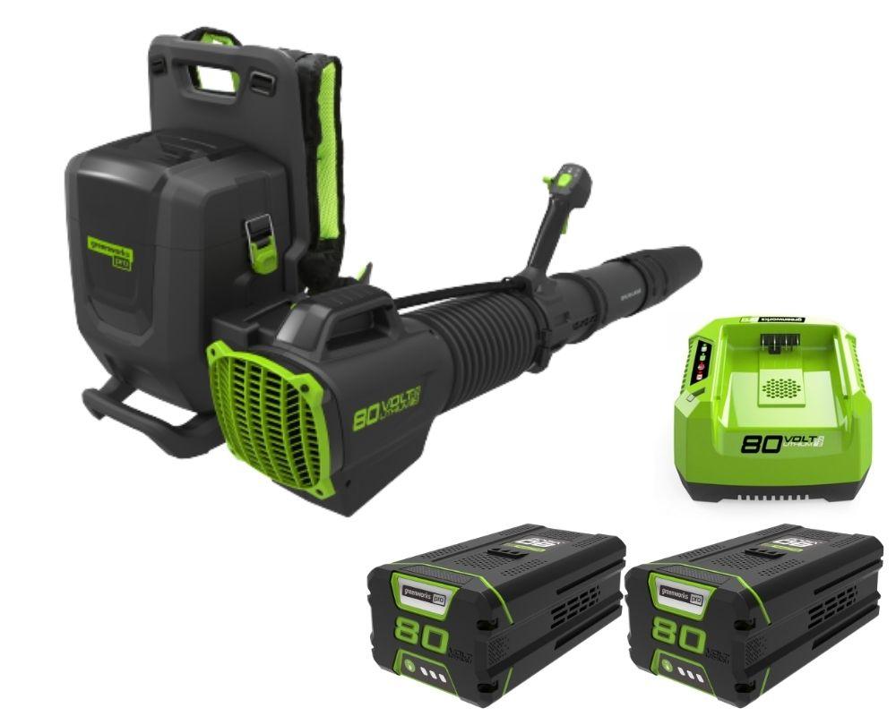 מפוח גב 80V PRO + שתי סוללות 5.0Ah + מטען מהיר - משתלת אייל