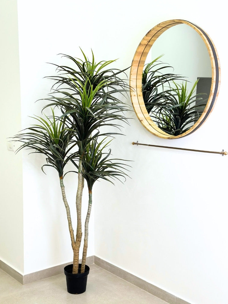 עציץ מלאכותי יוקה | גובה 190 ס"מ