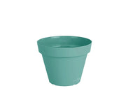 עציץ אביב | מנטה | קוטר 14 ס"מ