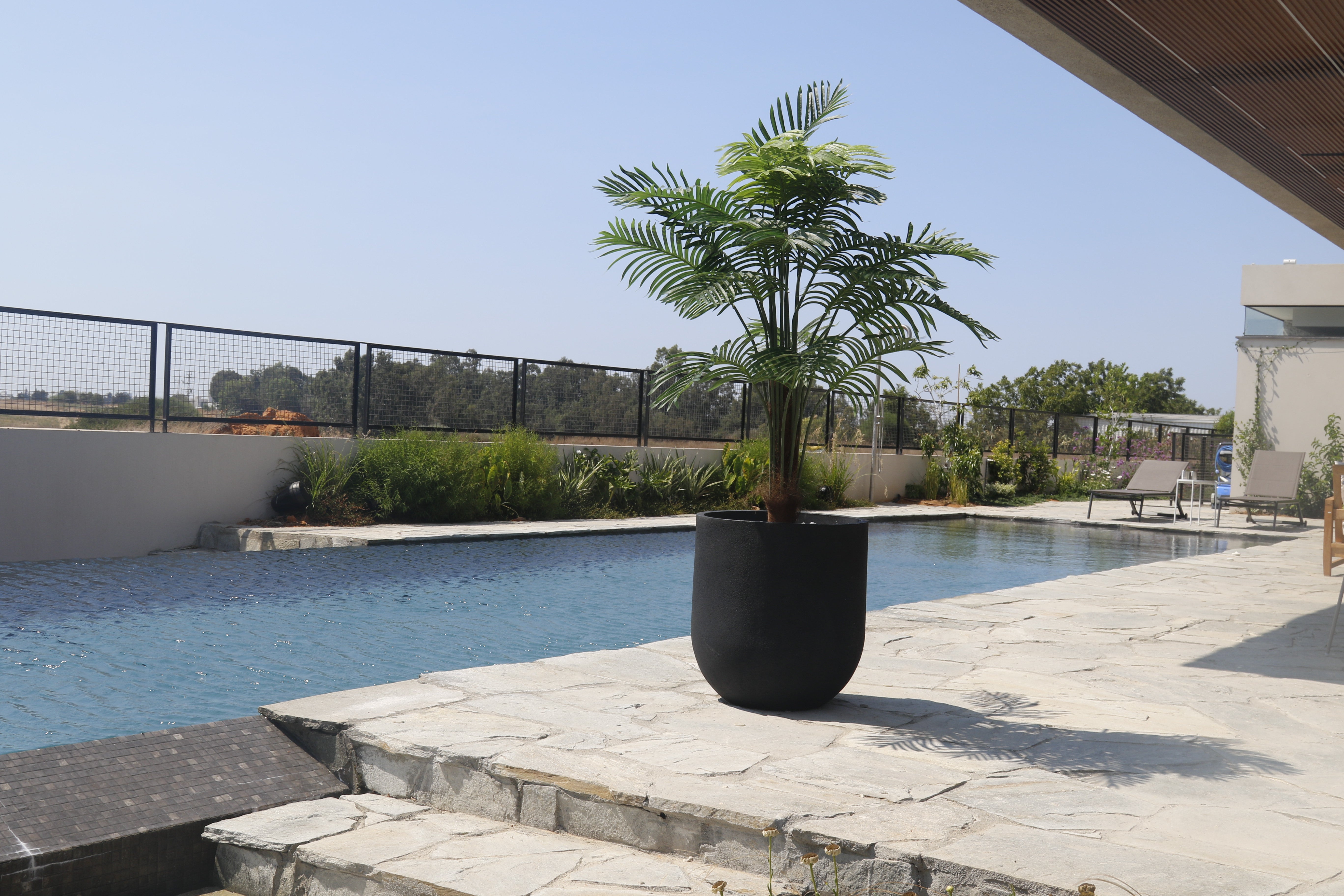 כד ביצה | קוטר 60 ס״מ | דקל מלאכותי