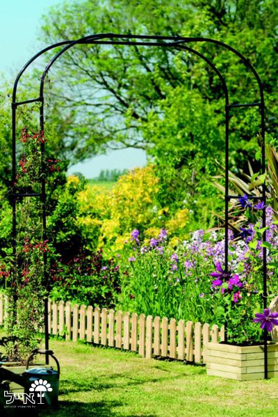 קשת ברזל לטיפוס צמחים | 230X152 | דגם סיגל | שחור