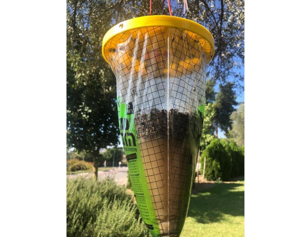 טורפת הזבובים מלכודת רבת עוצמה | יחידה אחת | XL