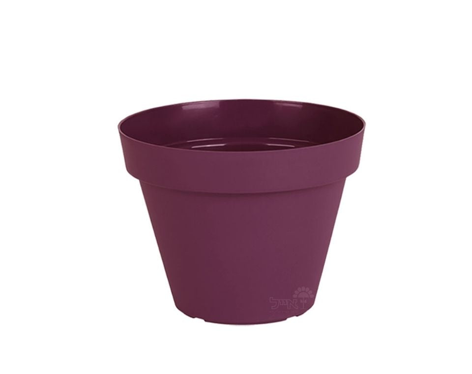 עציץ אביב | סגול כהה | קוטר 16 ס"מ