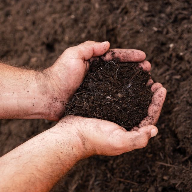 ביו-קומפוסט איכותי ואורגני - Garden Bio | דישון אדמת גן ומדשאות לפני ואחרי שתילה | 1.5 קוב