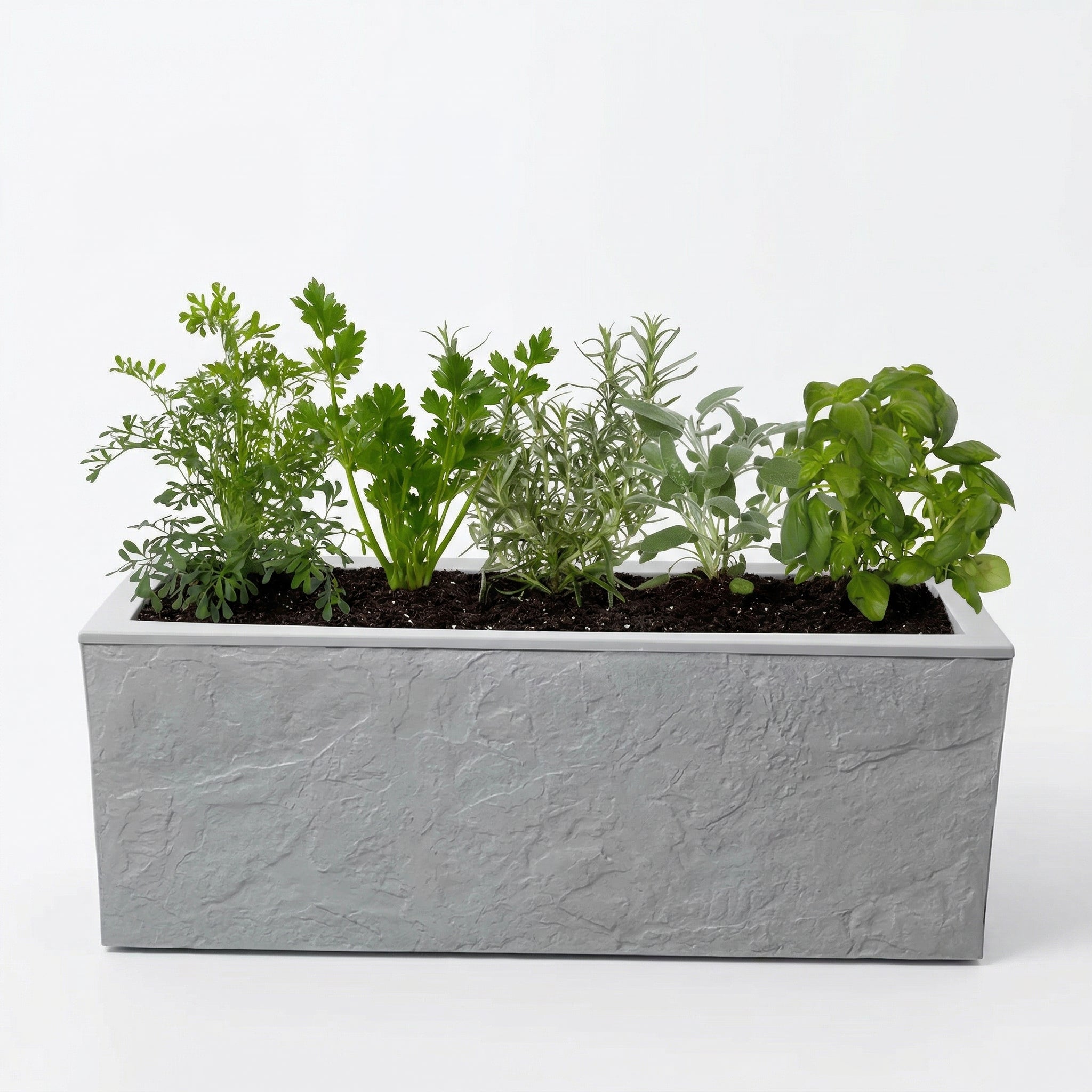 אדנית מוכנה עם צמחיה | 5 צמחי תבלין לבחירה | 79.5X29.5X29.5 | אפור בהיר דמוי אבן