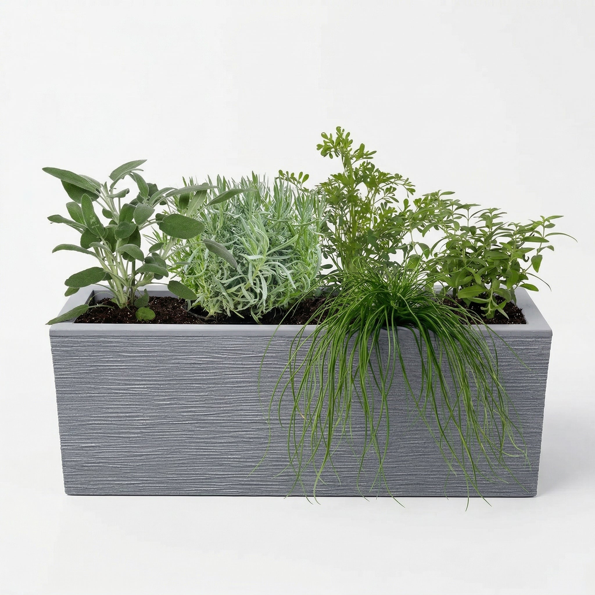 אדנית מוכנה עם צמחיה | 5 צמחי תבלין לבחירה | 79.5X29.5X29.5 | אפור בהיר פסים