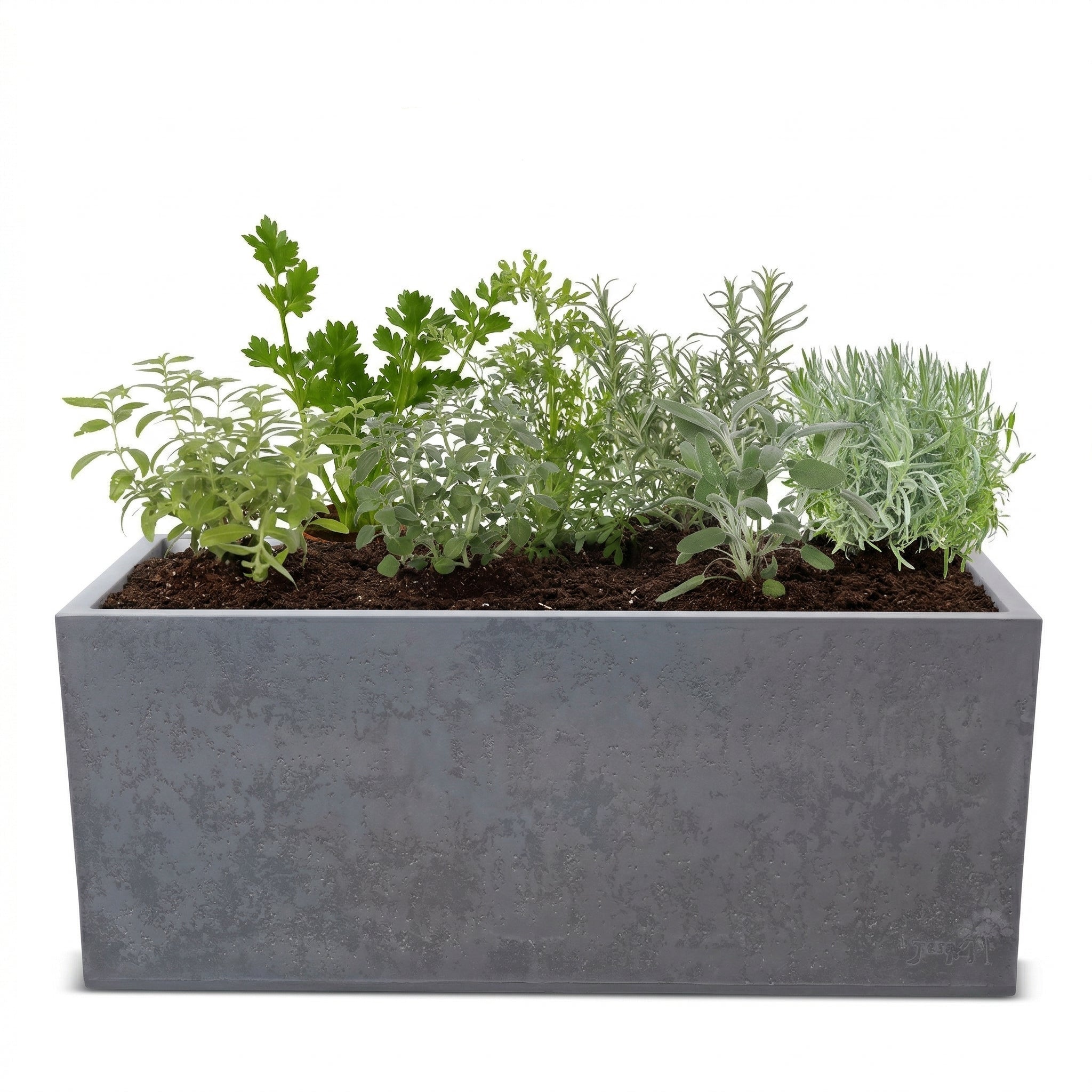 אדנית מוכנה עם צמחיה | 7 צמחי תבלין לבחירה | 100X40X40 | אפור כהה דמוי בטון