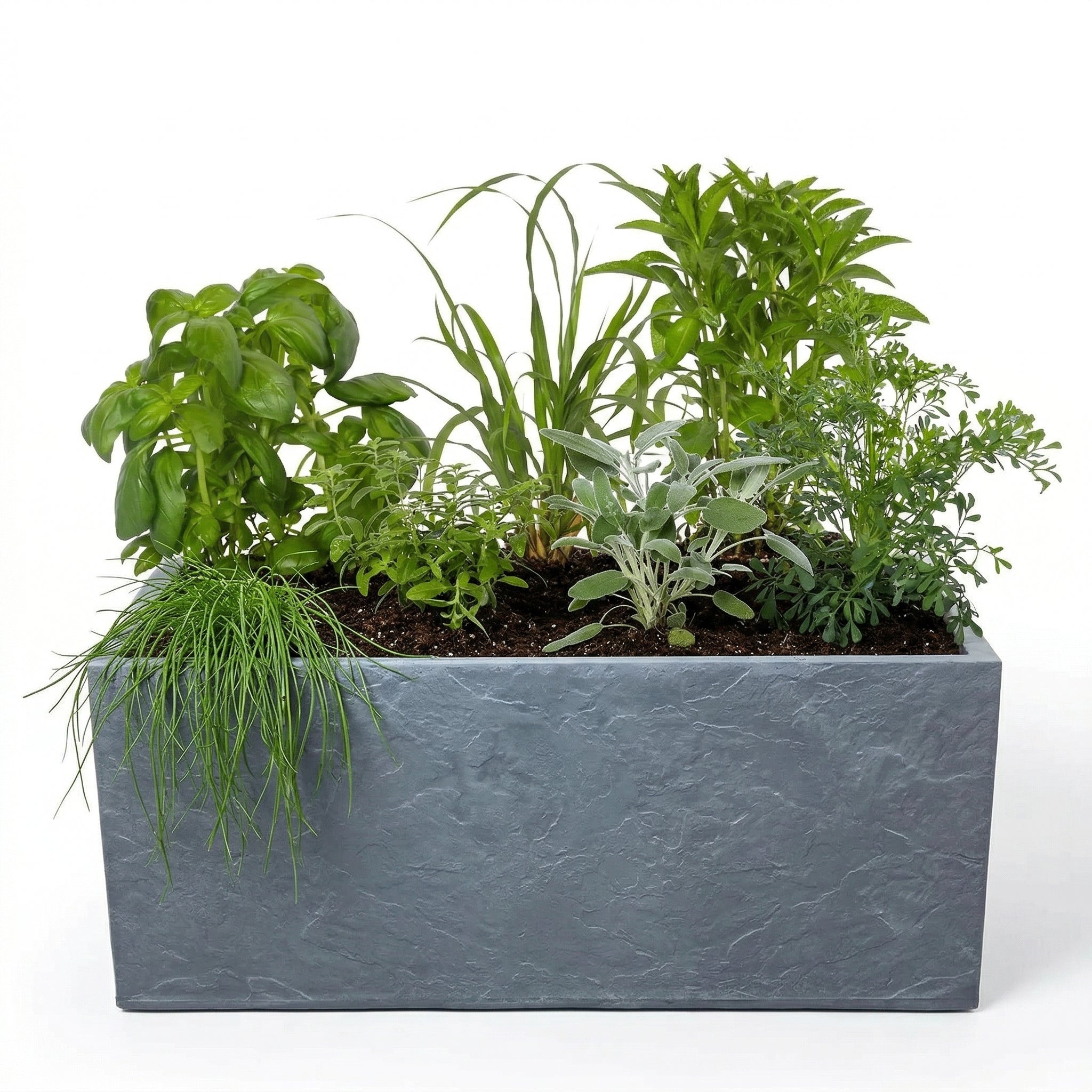 אדנית מוכנה עם צמחיה | 7 צמחי תבלין לבחירה | 100X40X40 | אפור בהיר דמוי אבן