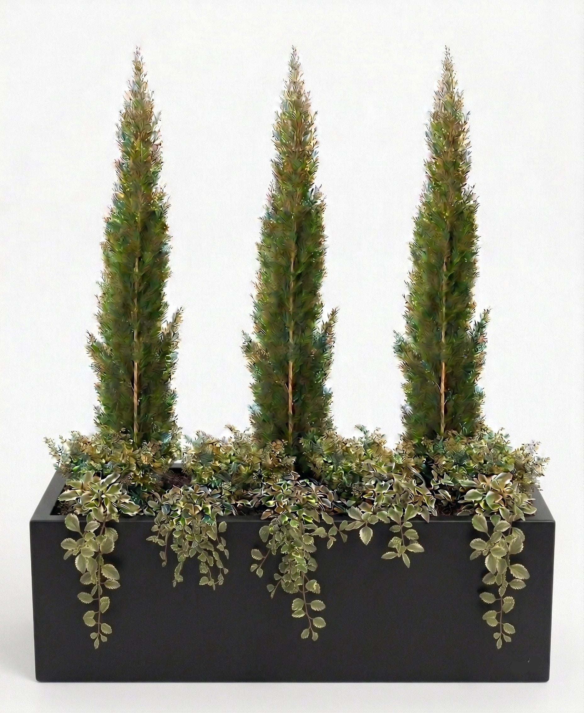 אדנית מוכנה עם צמחיה | 3 ברוש טוטם, 8 קופאה ו-10 פלקטרנטוס מדגסקרי | 7 צבעים לבחירה | 100X45X45