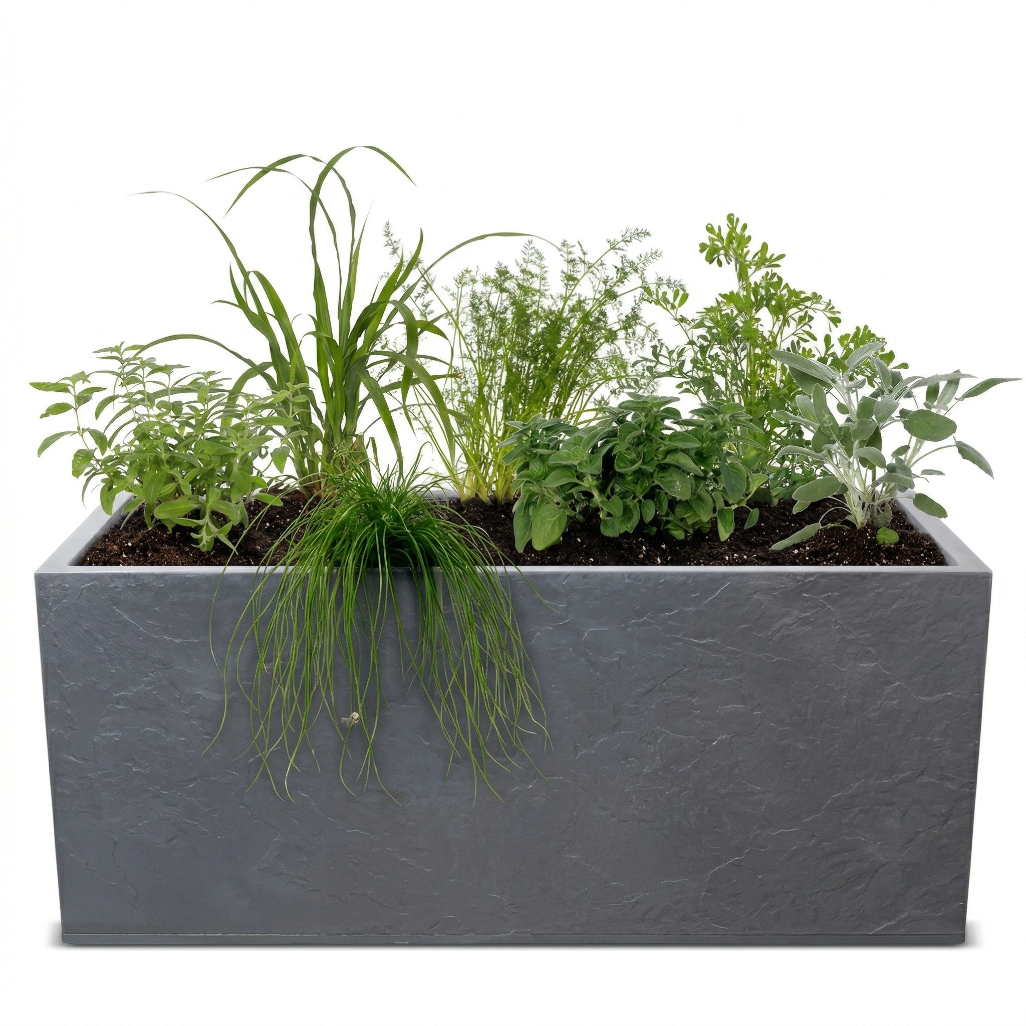 אדנית מוכנה עם צמחיה | 7 צמחי תבלין לבחירה | 100X40X40 | אפור כהה דמוי אבן
