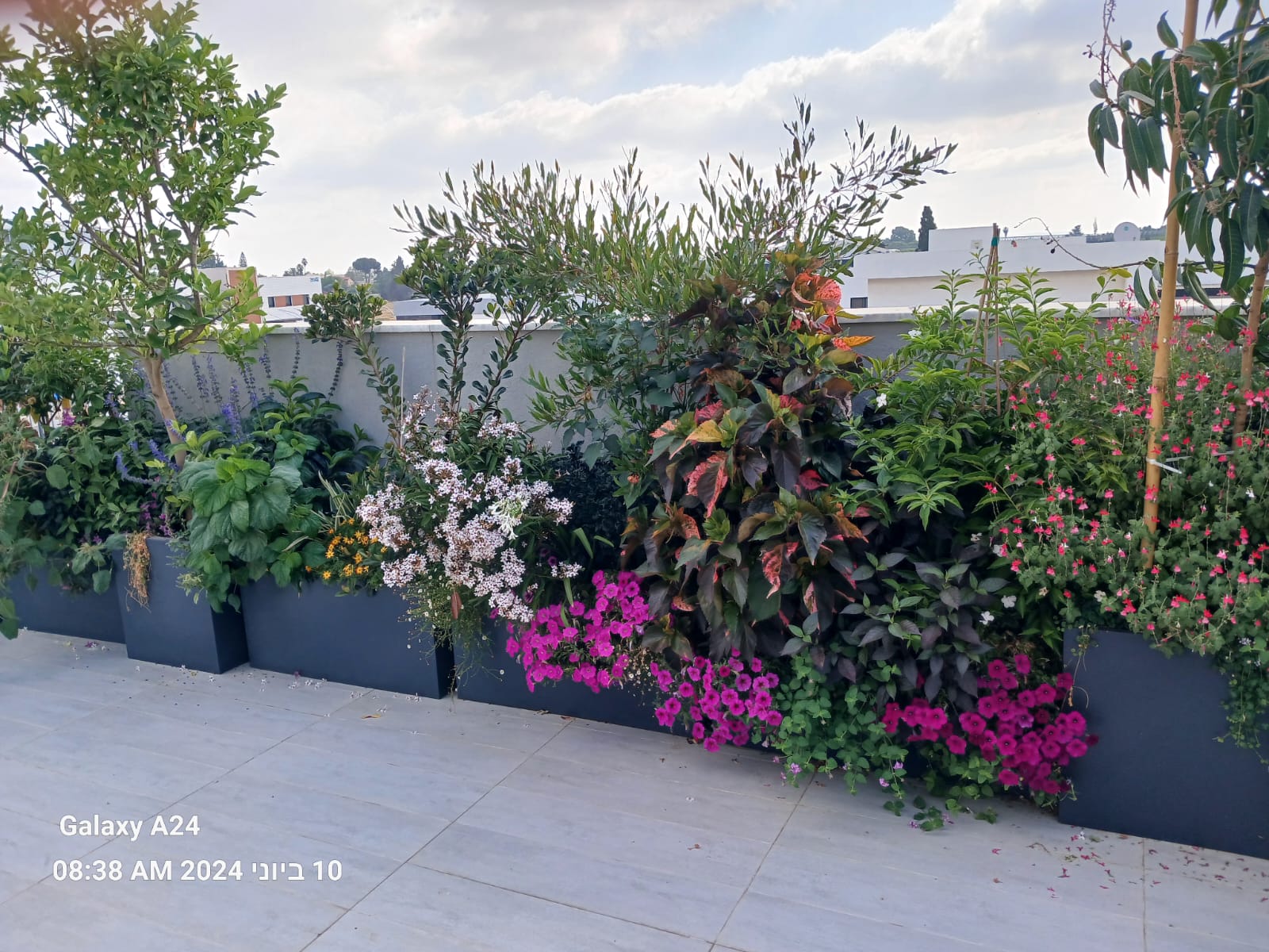 מרפסת בסגנון אינגליש קוטג׳ | אדניות דמוי אבן | גדרה