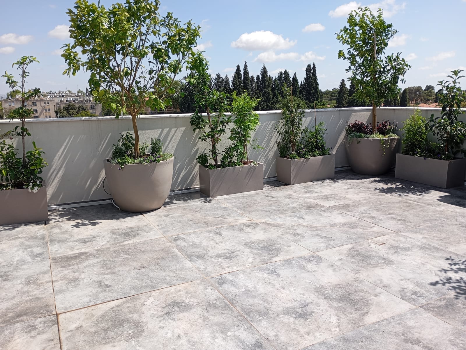 מרפסת בסגנון מודרני ונקי | אדניות רוטו וכדי רקפת בצבע אבן | הרצליה