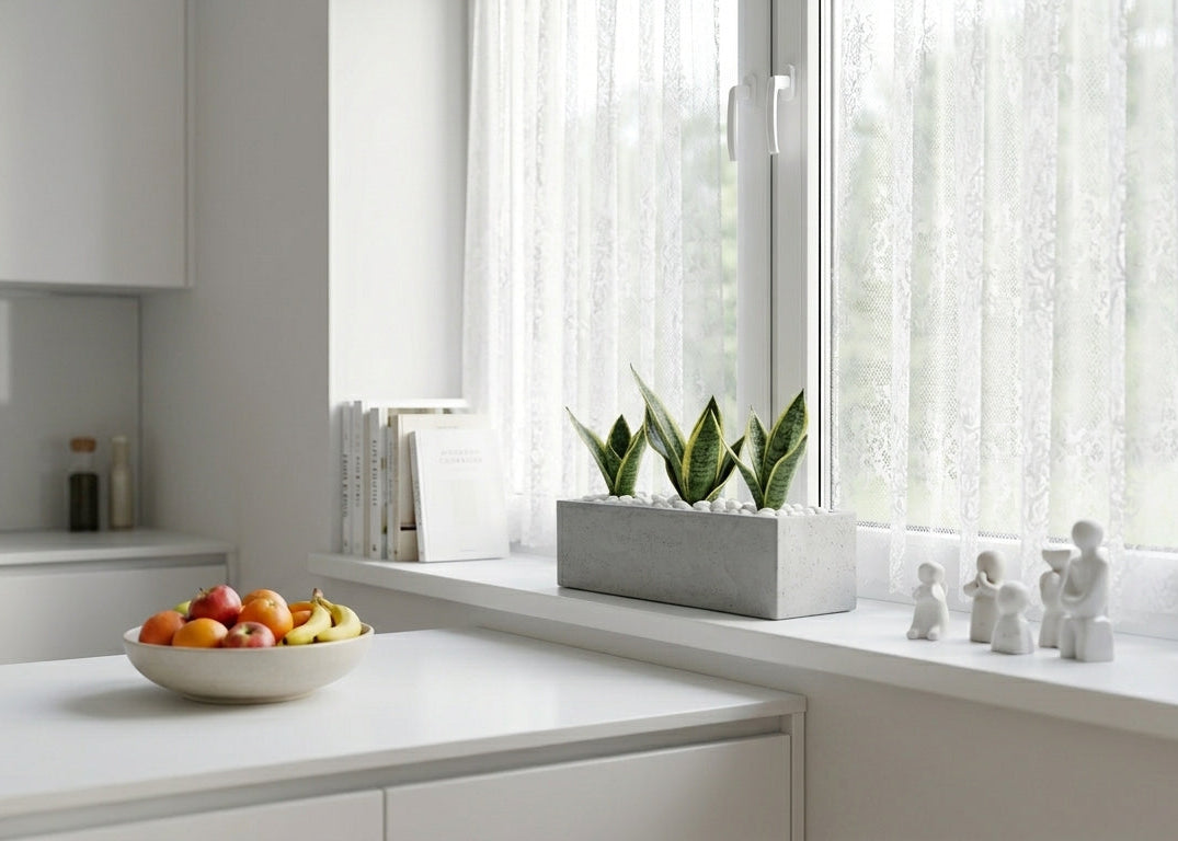 אדנית מוכנה עם צמחיה | 3 צמחי סנסיווריה מגוונת | 4 צבעים לבחירה | 59X19.5X22.8