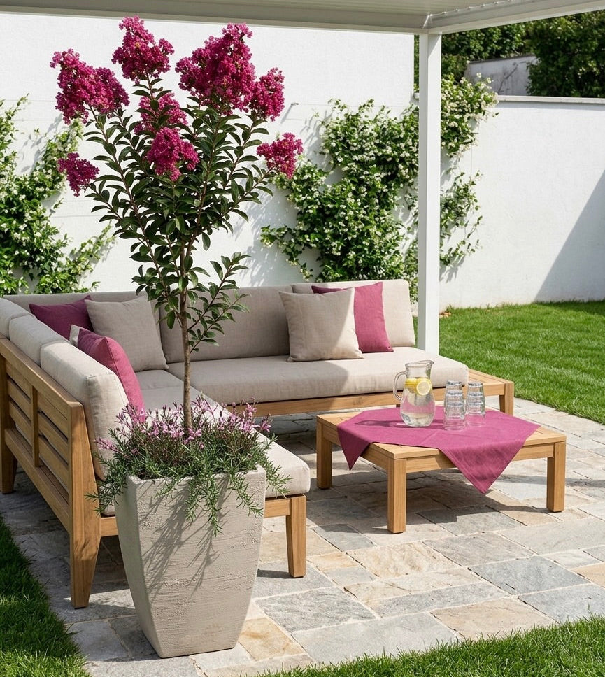 כד מוכן עם צמחיה | לגסטרמיה הודית, 4 גאורה ורודה ו-4 רוזמרין זוחל | 3 צבעים לבחירה | 54X37