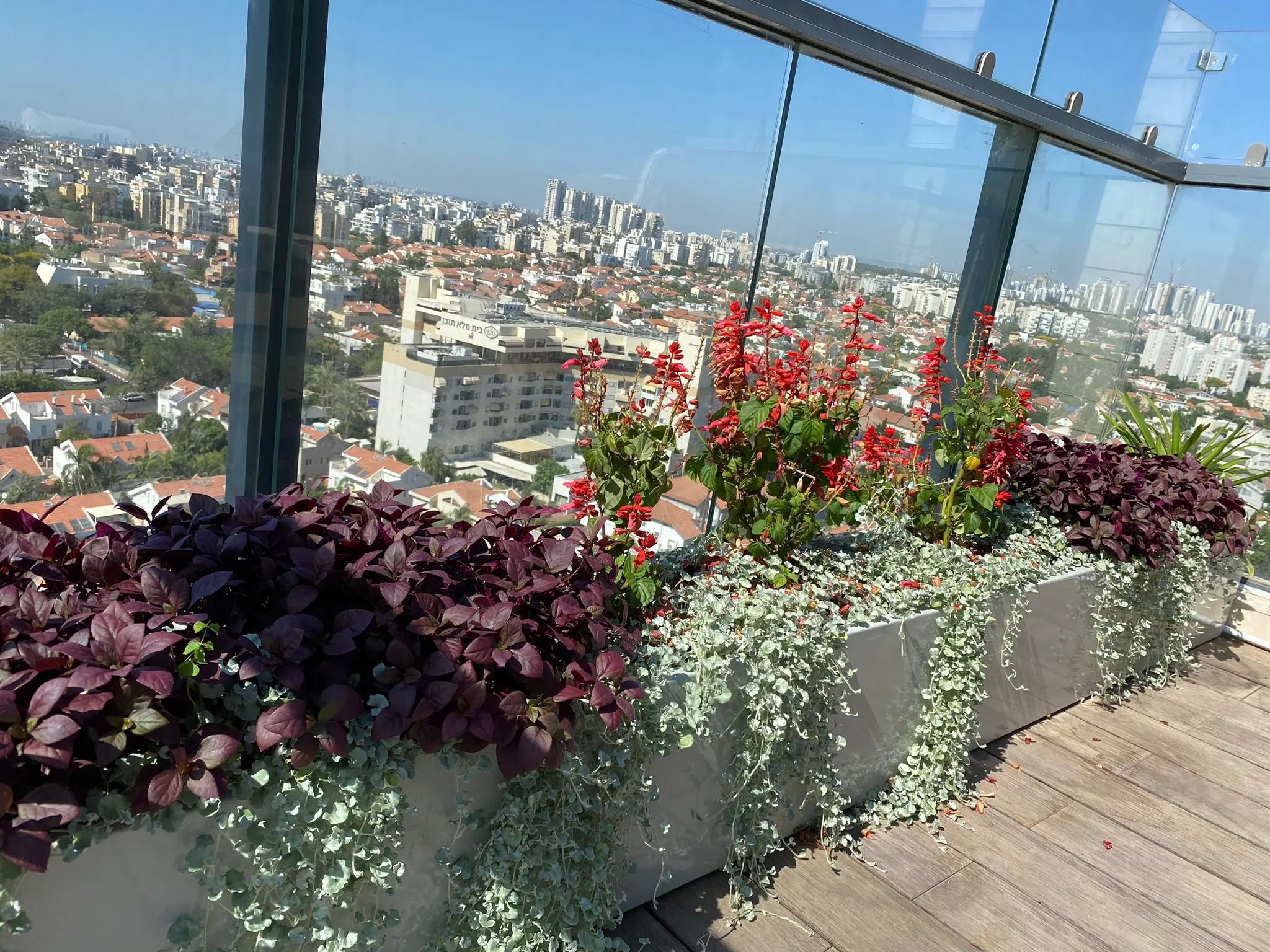 אדנית ברזל לפי מידות | עיצוב אישי לבית ולגינה | טופס לבקשת הצעת מחיר