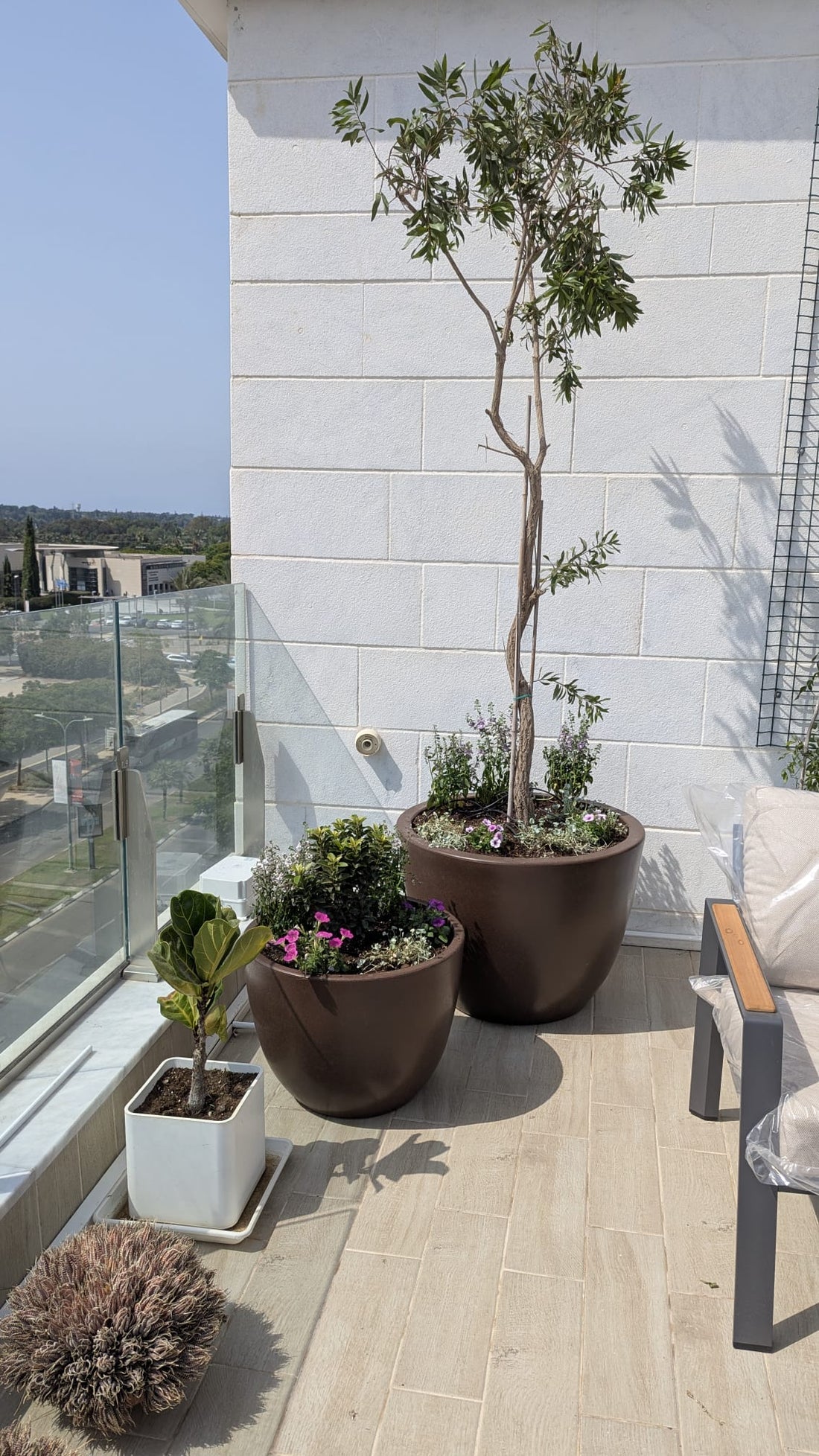 משתלת אייל
