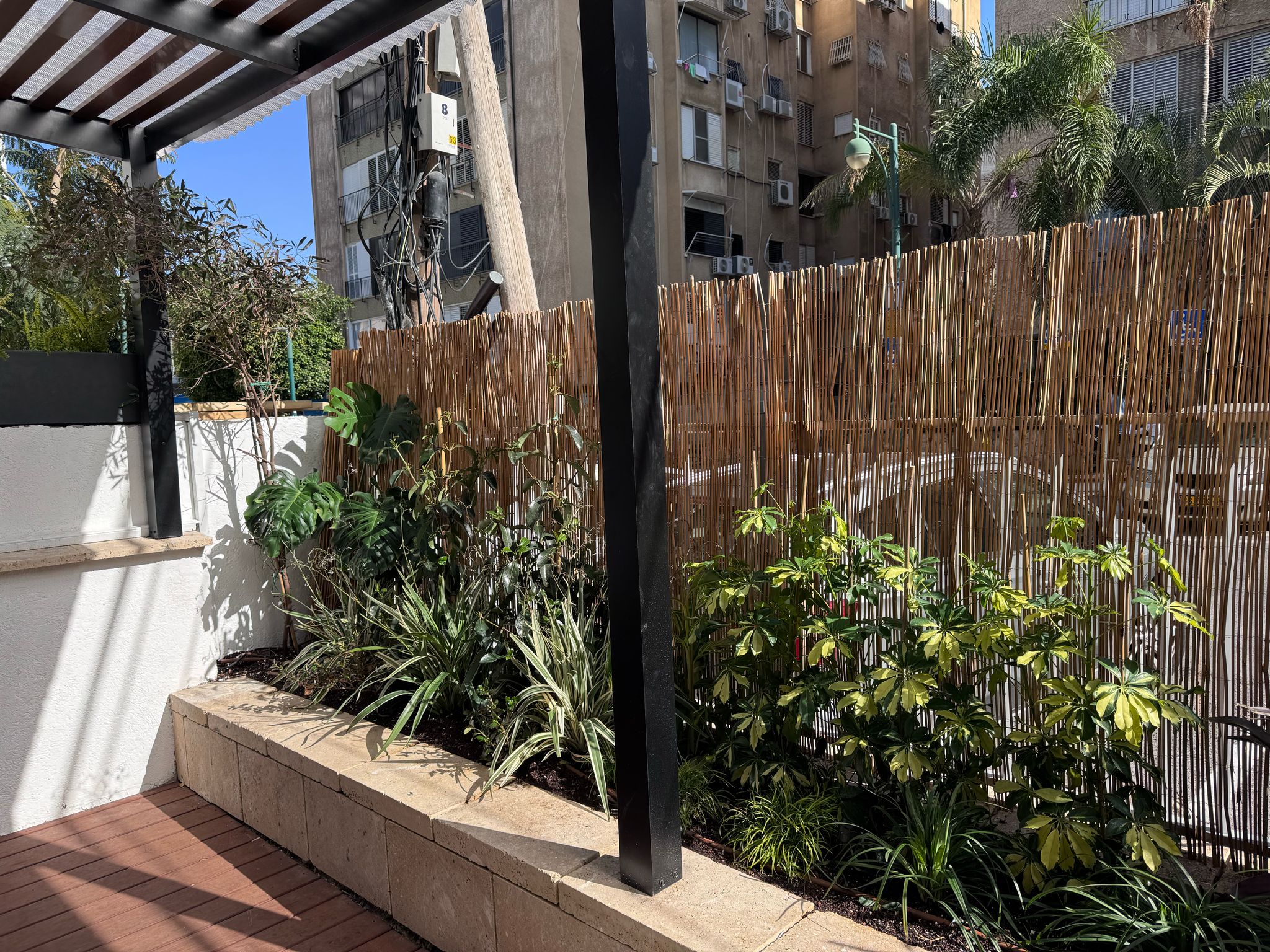 חצר בסגנון ג׳ונגל-סבוך | אדניות דמוי-אבן ושתילה מקומית | רמת גן