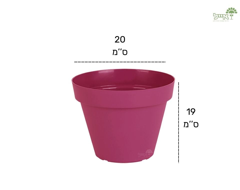 עציץ אביב | ורוד עתיק | קוטר 20 ס"מ