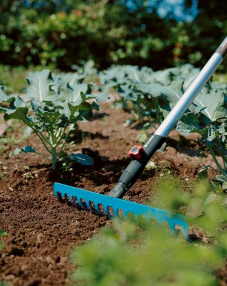 מגרפת פלדה איכותית | רוחב 36 ס"מ | 3178