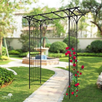 קשת ברזל לטיפוס צמחים | 206X204 | דגם הדס | שחור