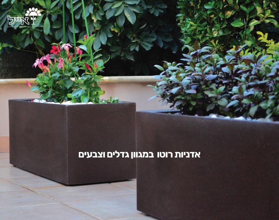 אדנית רוטו מלבני | פחם | 60X20X20