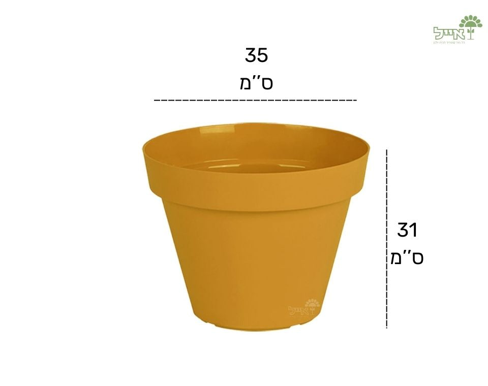 עציץ אביב | חרדל | קוטר 35 ס"מ