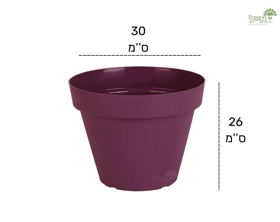 עציץ אביב | סגול כהה | קוטר 30 ס"מ - משתלת אייל