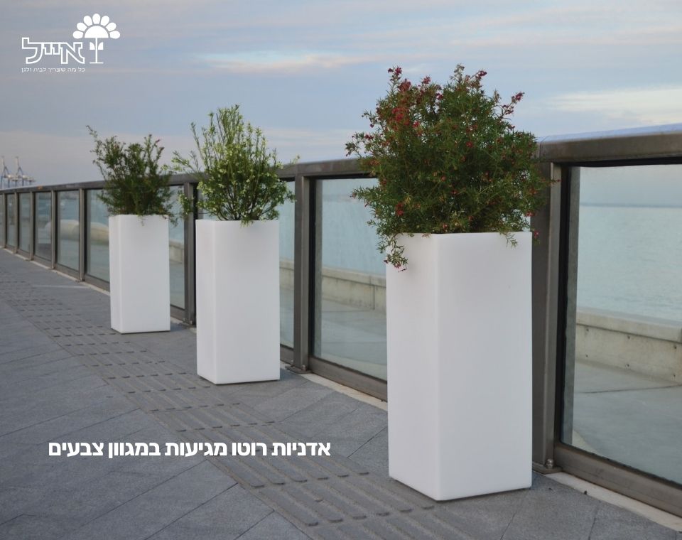 כד רוטו גבוה | בטון | 70X30X30