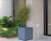 אדנית קובייה | 39.5 ס״מ | שלושה צמחים